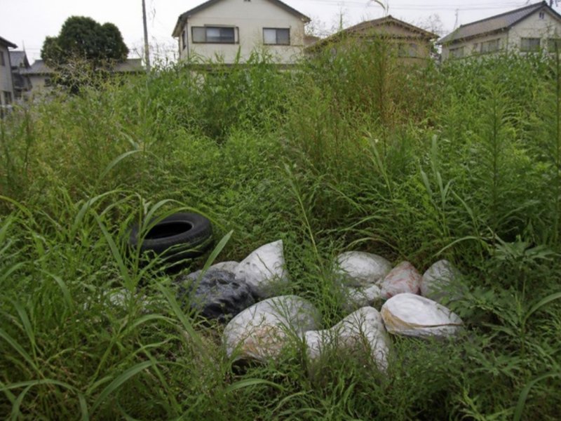 雑草の中に捨てられたゴミとタイヤ